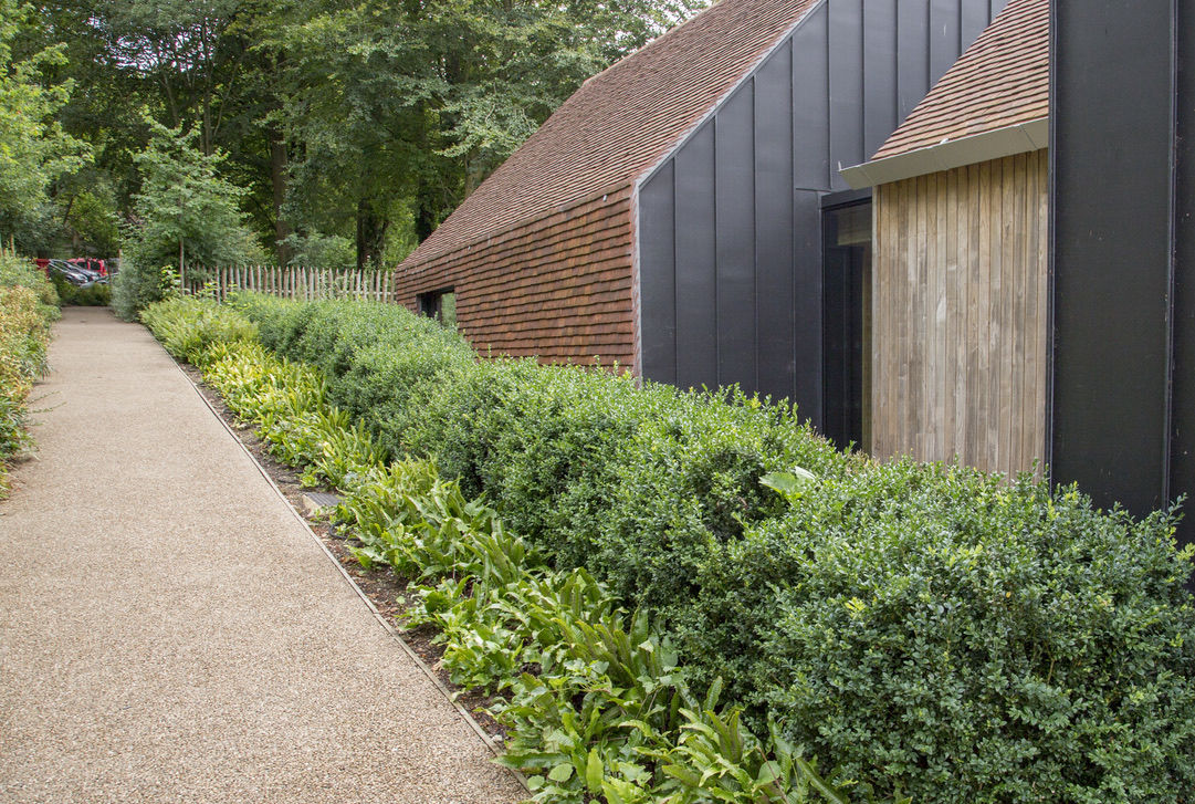 Resin bound gravel path with ferns