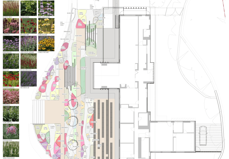 landscape-plan