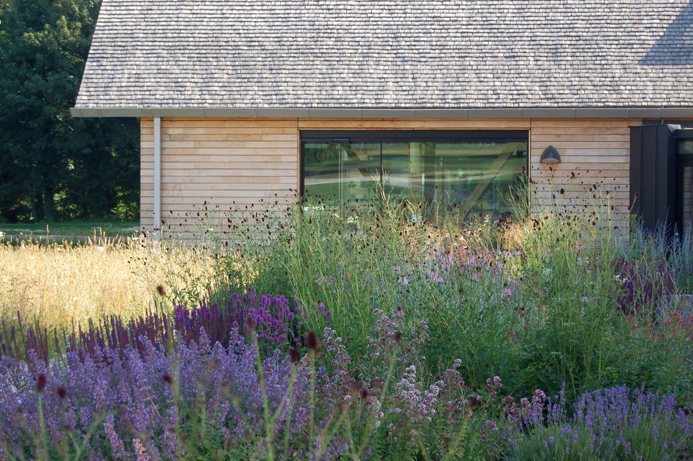 Weald Downland Perennial Prairie Garden