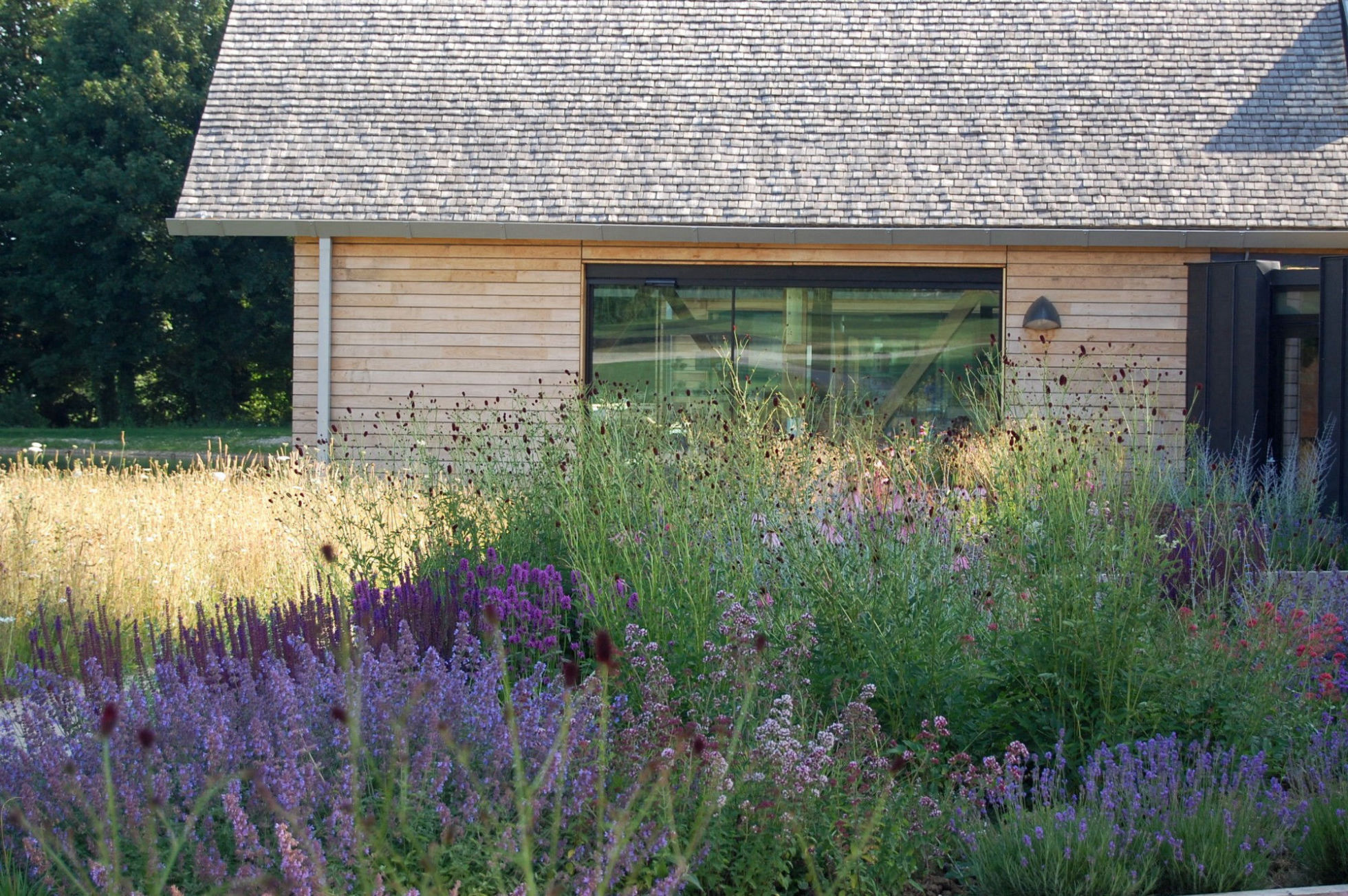 Weald Downland Museum - Prairie Planting