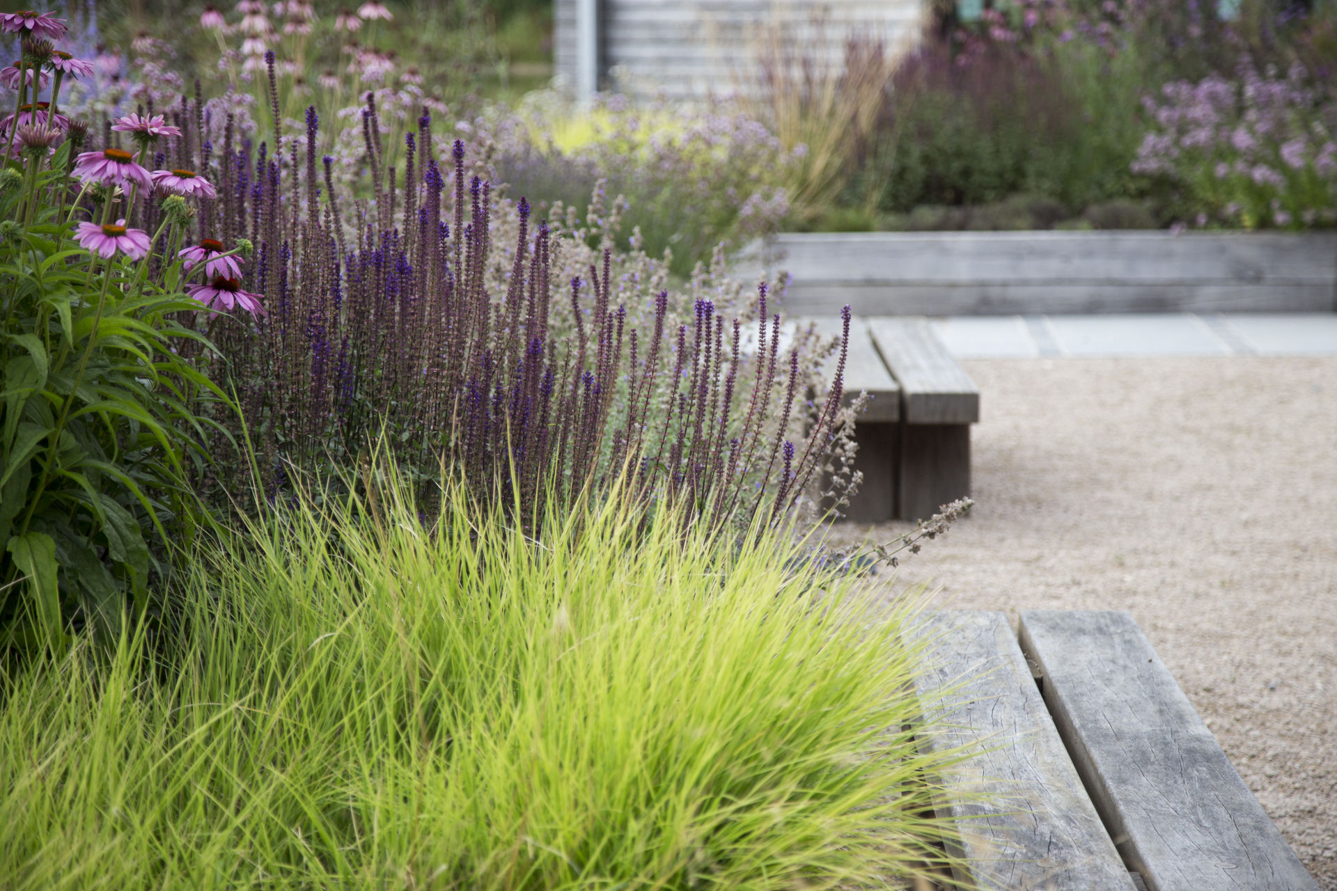 designing with ornamental grasses